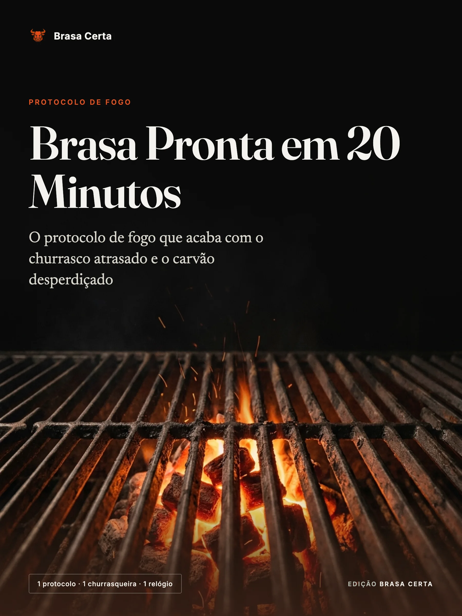 Capa do guia Brasa Pronta em 20 Minutos